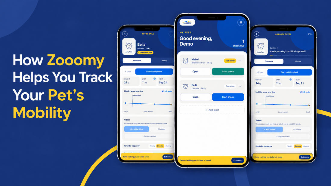 The Zooomy companion app, an easy way to track your dog's progress
