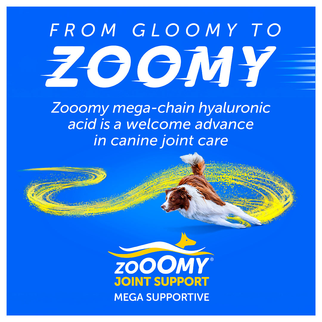 Zooomy Hyaluronic Acid Joint Support for Dogs