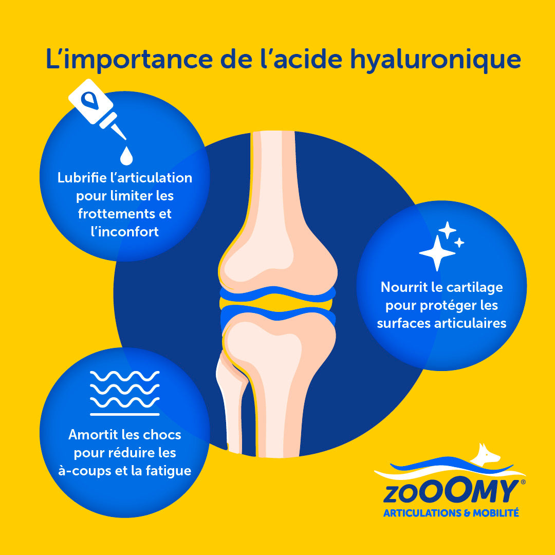 Zooomy Complément articulaire Zooomy pour chiens