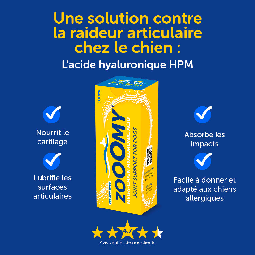 Zooomy Complément articulaire Zooomy pour chiens