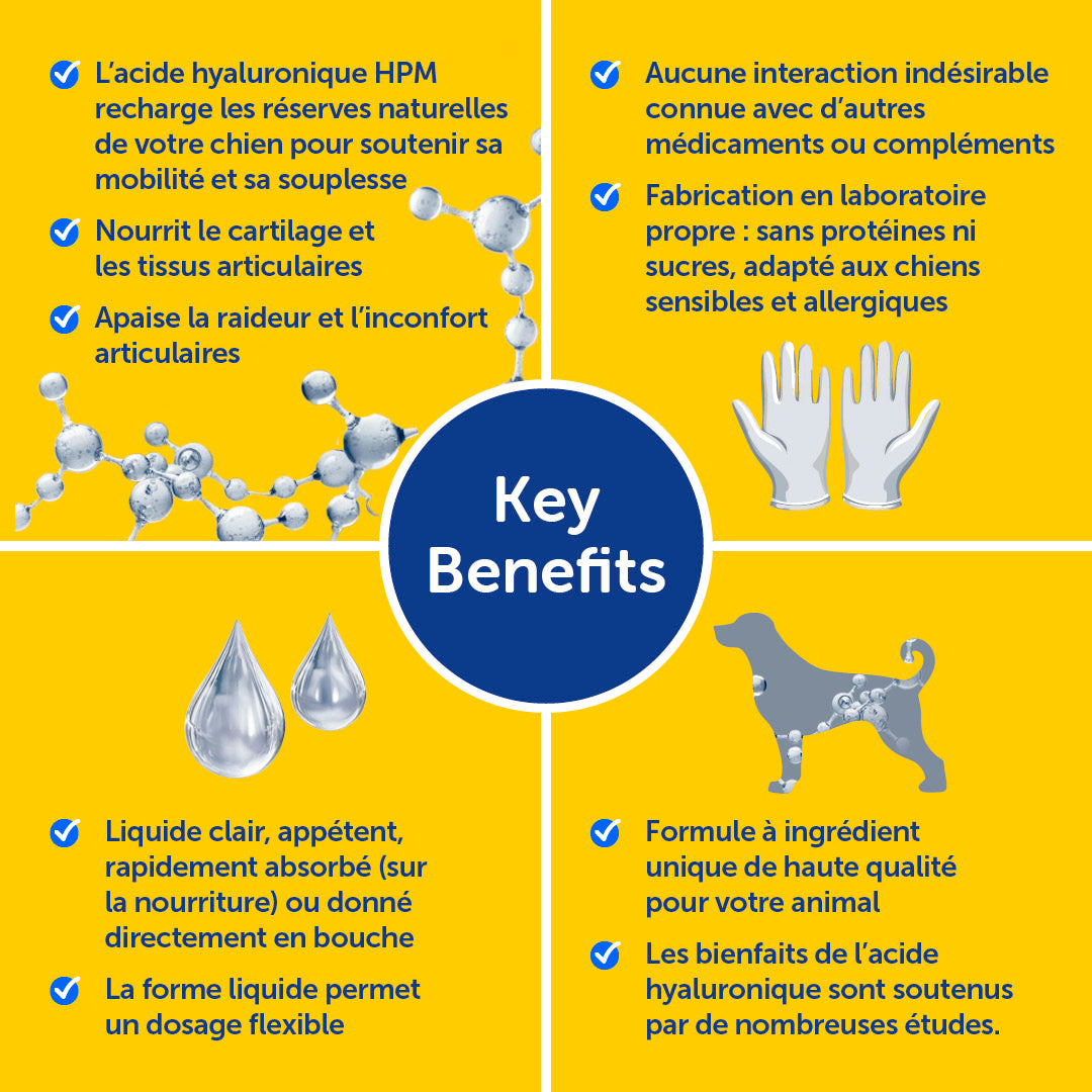 Zooomy Complément articulaire Zooomy pour chiens