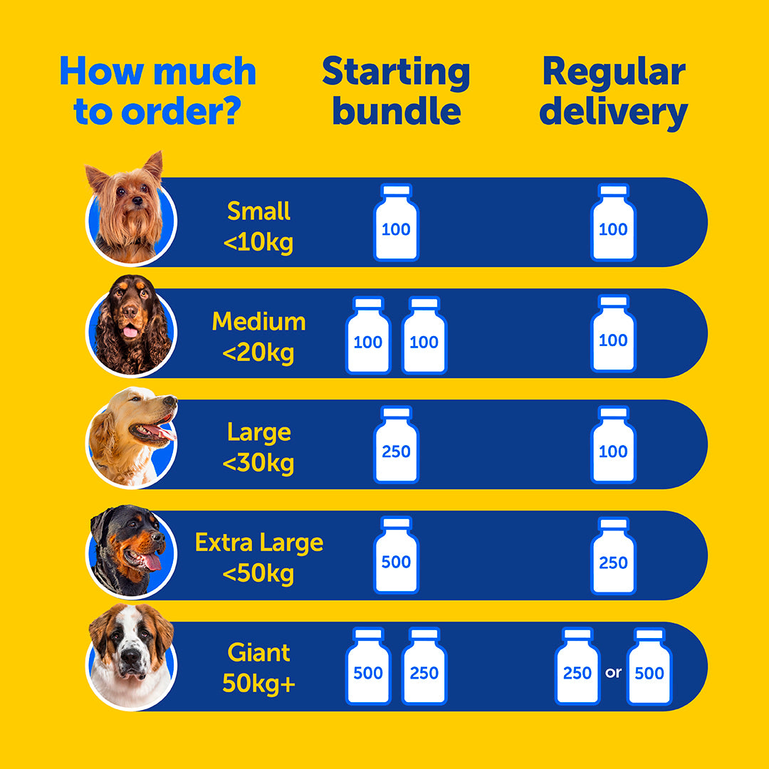 Hyaluronic Acid Joint Care for Dogs Zooomy MegaHA Supplements Hyaluronic Acid Joint Care for Dogs Zooomy MegaHA Supplements
