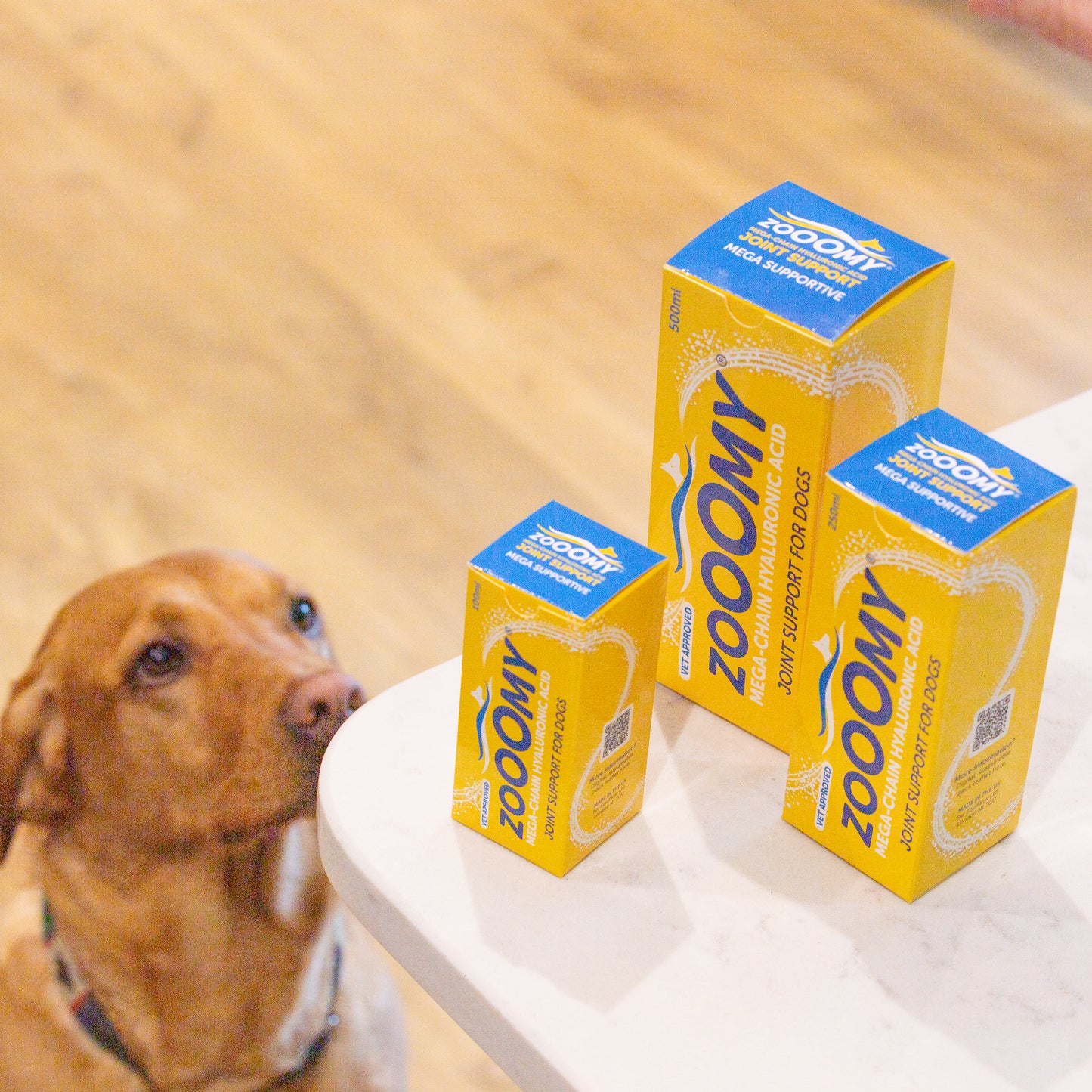 Zooomy Hyaluronic Acid Joint Support for Dogs